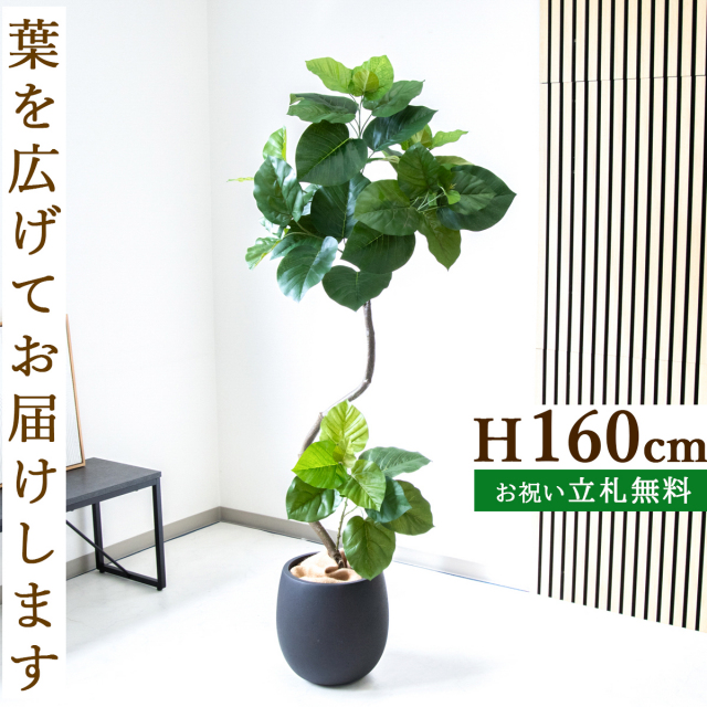 フェイクグリーン ツイストウンベラータ H約160cm 鉢付き / 観葉植物 フェイク 人工観葉植物 造花 店舗 装飾 開店 開業 移転 祝い ギフト プレゼント おしゃれ 住宅展示場 モデルハウス オフィス 立札無料 PG150-BAL30BK