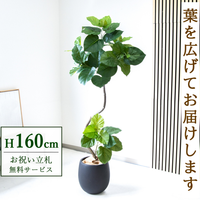 フェイクグリーン ツイストウンベラータ H約160cm 鉢付き / 観葉植物 フェイク 人工観葉植物 造花 店舗 装飾 開店 開業 移転 祝い ギフト プレゼント おしゃれ 住宅展示場 モデルハウス オフィス 立札無料 PG150-BAL30BK