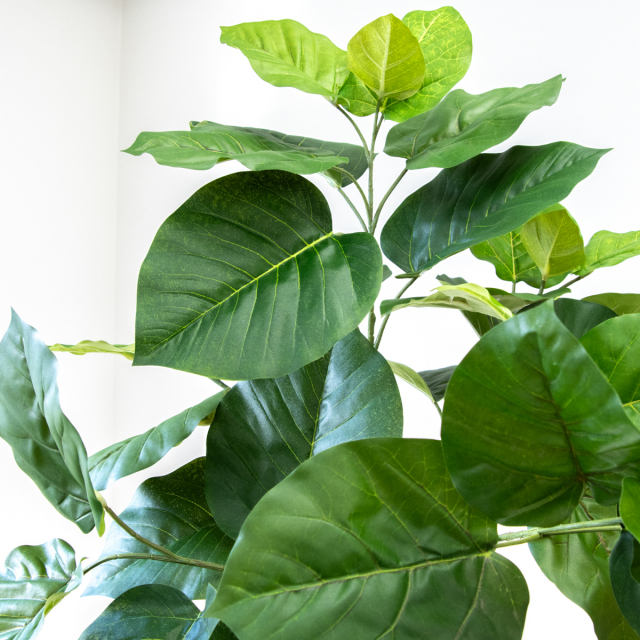 人工 観葉植物 フェイク グリーン ツイストウンベラータ H約160cm 店舗
