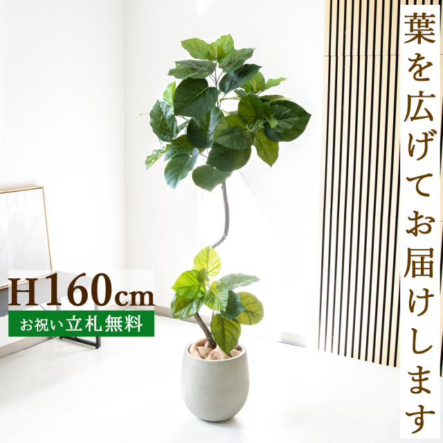 フェイクグリーン ツイストウンベラータ H約160cm 鉢付き / 観葉植物 フェイク 人工観葉植物 造花 店舗 装飾 開店 開業 移転 祝い ギフト プレゼント おしゃれ 住宅展示場 モデルハウス オフィス 立札無料 PG150-BAL30IV