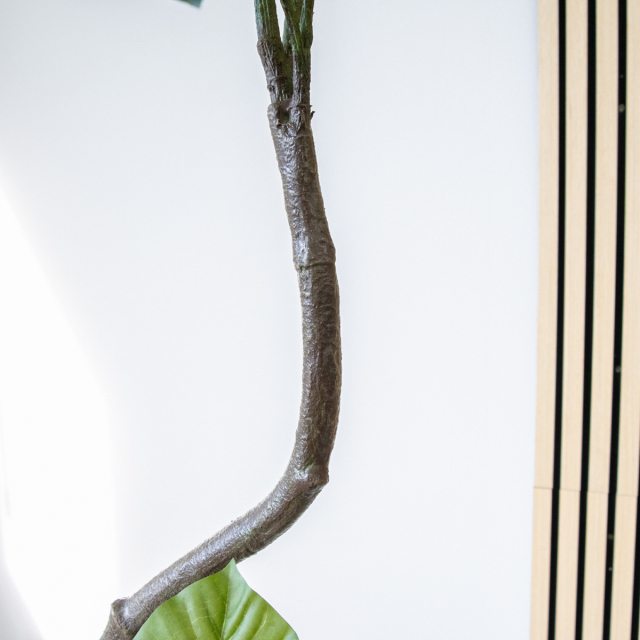 人工 観葉植物 フェイク グリーン ツイストウンベラータ H約