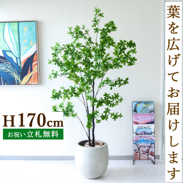 フェイクグリーン ツツジ H約170cm 鉢付き / 人工観葉植物 観葉植物 フェイク 造花 大型 大きい 店舗 装飾 開店 開業 移転 祝い ギフト プレゼント おしゃれ 住宅展示場 モデルハウス オフィス 立札無料 /PG158-BAL35IV