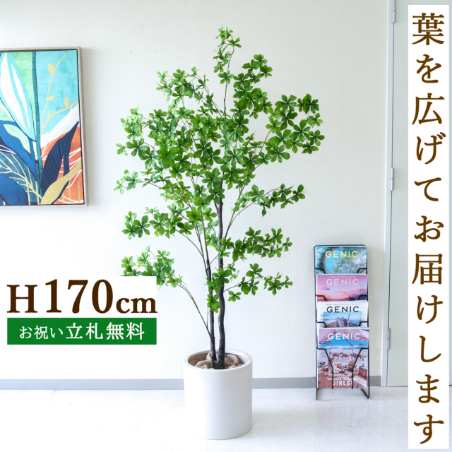 人工 観葉植物 フェイク グリーン ベンジャミンフィカスツリー H