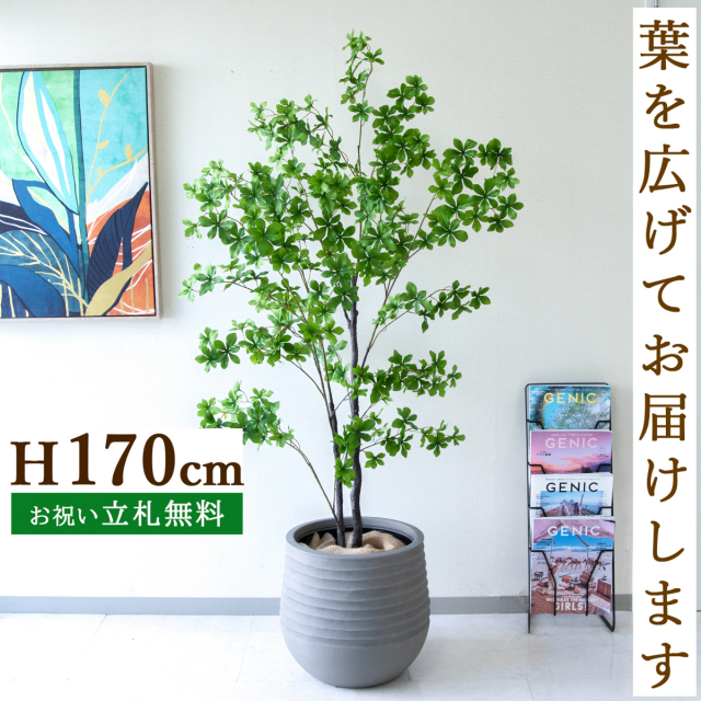フェイクグリーン ツツジ H約160cm 鉢付き / 観葉植物 フェイク 人工観葉植物 造花 店舗 装飾 開店 開業 移転 祝い ギフト プレゼント おしゃれ 住宅展示場 モデルハウス オフィス 立札無料 PG158-J40