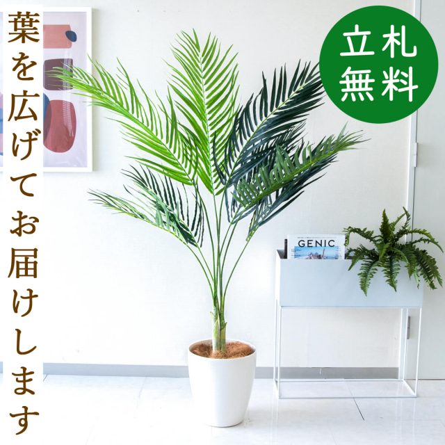 フェイクグリーン アレカパームツリー H約155cm 鉢付き / 人工観葉植物 観葉植物 フェイク 造花パームツリー 南国 夏 店舗 装飾 開店 開業 移転 祝い ギフト プレゼント おしゃれ 住宅展示場 モデルハウス オフィス 立札無料 PG165-A265WH