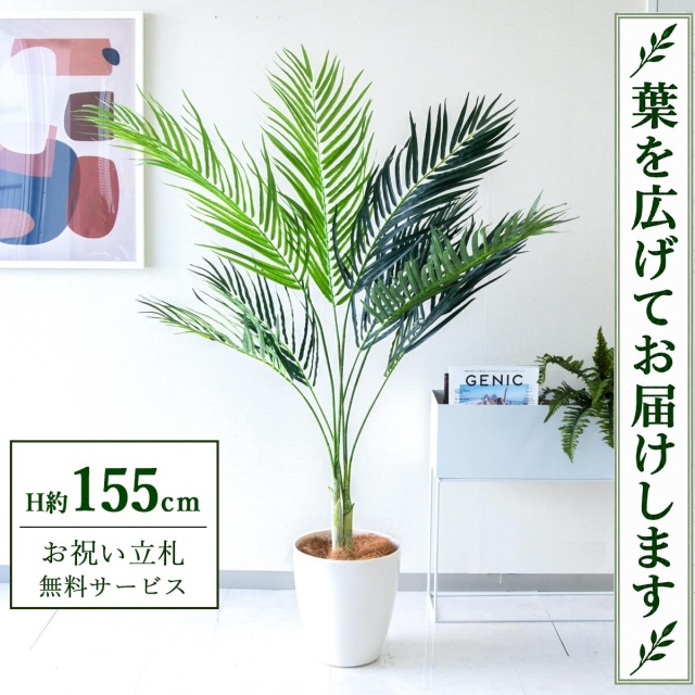 【すぐ飾れる】 フェイクグリーン アレカパーム H約155cm 鉢付き / 法人・開店祝い 店舗・オフィス装飾 空間演出 立札無料・造花/PG165-A265WH