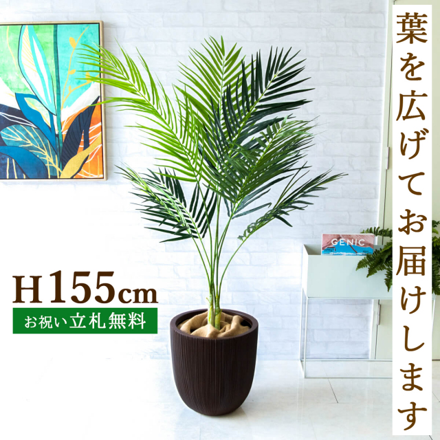 フェイクグリーン アレカパームツリー H約155cm 鉢付き / 人工観葉植物 観葉植物 フェイク 造花パームツリー 南国 夏 店舗 装飾 開店 開業 移転 祝い ギフト プレゼント おしゃれ 住宅展示場 モデルハウス オフィス 立札無料 PG165-FRA37DB