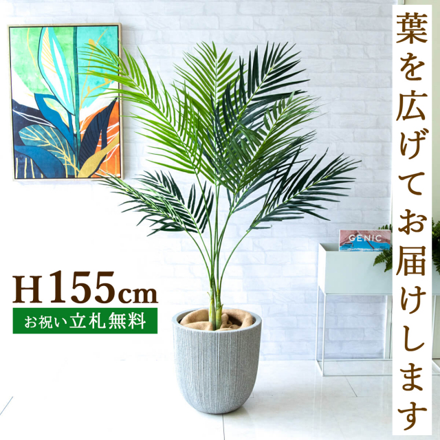 フェイクグリーン アレカパームツリー H約155cm 鉢付き / 人工観葉植物 観葉植物 フェイク 造花パームツリー 南国 夏 店舗 装飾 開店 開業 移転 祝い ギフト プレゼント おしゃれ 住宅展示場 モデルハウス オフィス 立札無料 PG165-FRA37WH