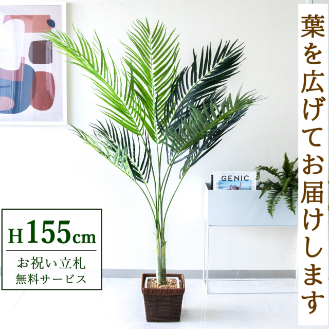 【すぐ飾れる】 フェイクグリーン アレカパーム 155cm 鉢付き / 法人・開店祝い 店舗・オフィス装飾 空間演出 立札無料・造花/PG165-KCS21BR