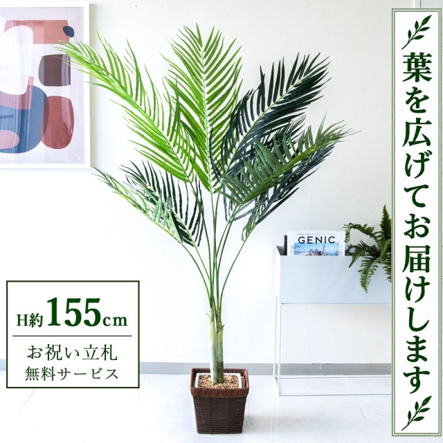 【すぐ飾れる】 フェイクグリーン アレカパーム H約155cm 鉢付き / 法人・開店祝い 店舗・オフィス装飾 空間演出 立札無料・造花/PG165-KCS21BR