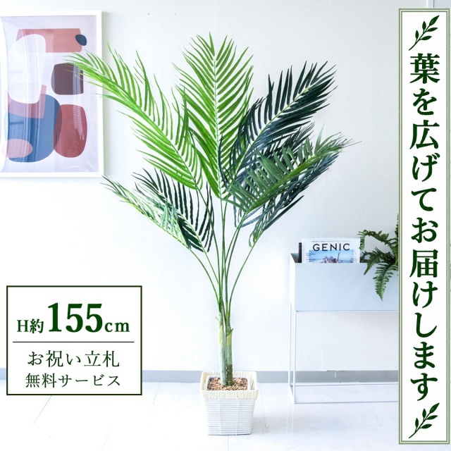 【すぐ飾れる】 フェイクグリーン アレカパーム H約155cm 鉢付き / 法人・開店祝い 店舗・オフィス装飾 空間演出 立札無料・造花/PG165-KCS21WH