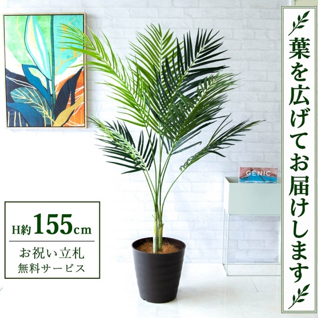【すぐ飾れる】 フェイクグリーン アレカパーム H約155cm 鉢付き / 法人・開店祝い 店舗・オフィス装飾 空間演出 立札無料・造花/PG165-M30DB