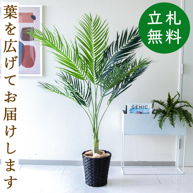フェイクグリーン アレカパームツリー H約155cm 鉢付き / 人工観葉植物 観葉植物 フェイク 造花パームツリー 南国 夏 店舗 装飾 開店 開業 移転 祝い ギフト プレゼント おしゃれ 住宅展示場 モデルハウス オフィス 立札無料 PG165-MEL26DB