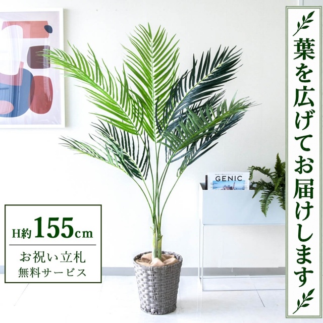 【すぐ飾れる】 フェイクグリーン アレカパーム H約155cm 鉢付き / 法人・開店祝い 店舗・オフィス装飾 空間演出 立札無料・造花/PG165-MEL26GY