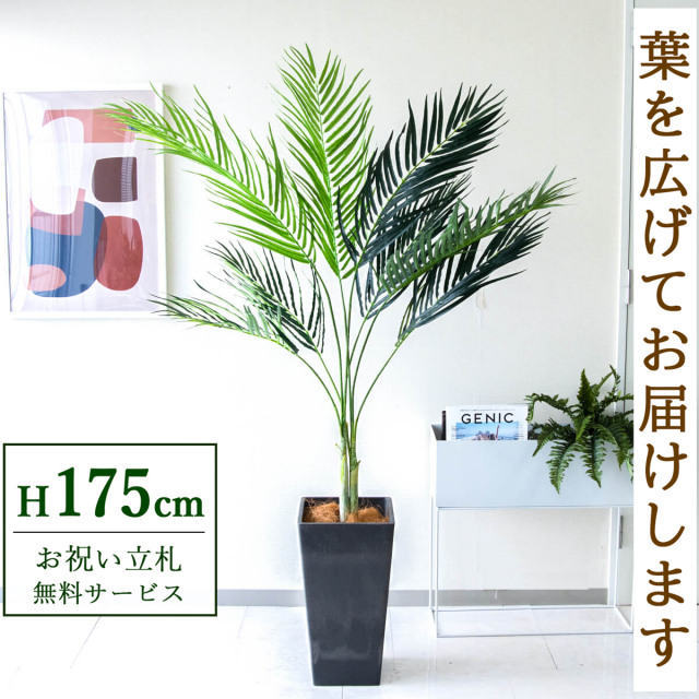 【すぐ飾れる】 フェイクグリーン アレカパーム 175cm 大型 鉢付き / 法人・開店祝い 店舗・オフィス装飾 空間演出 立札無料・造花/PG165-Q25BK