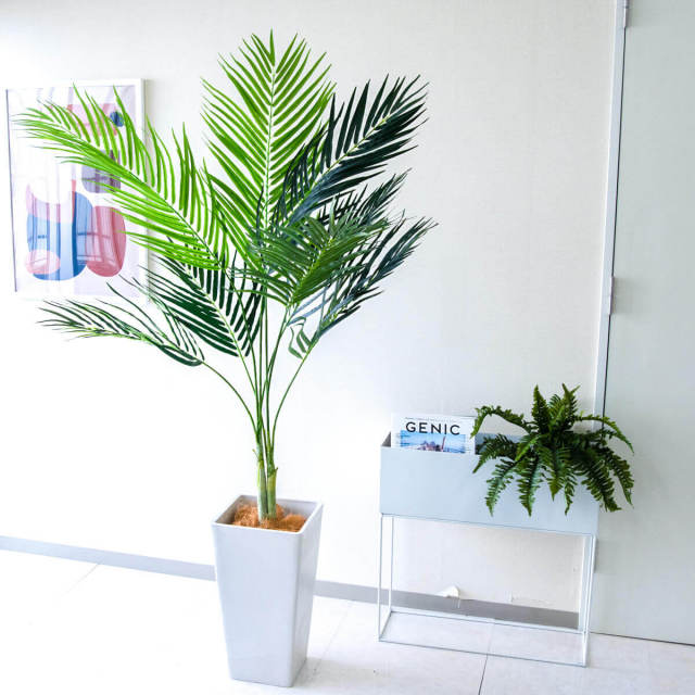 加工60×75 2枚 100×178 2枚お花大きめ グリーン 緑 柄 2枚 産地直送 シンビジウム ミニ グリーン 2本立ち 化粧プラ鉢皿付