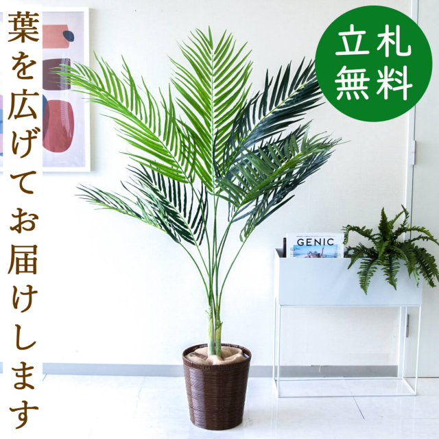 フェイクグリーン アレカパームツリー H約155cm 鉢付き / 人工観葉植物 観葉植物 フェイク 造花パームツリー 南国 夏 店舗 装飾 開店 開業 移転 祝い ギフト プレゼント おしゃれ 住宅展示場 モデルハウス オフィス 立札無料 PG165-SYD26DB