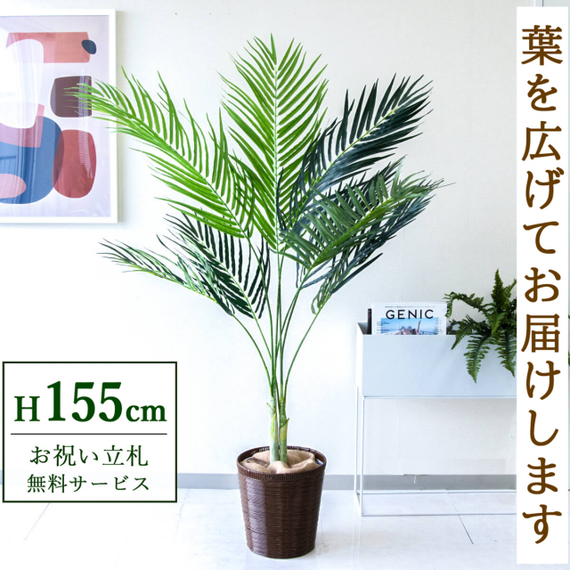 フェイクグリーン アレカパームツリー H約155cm 鉢付き / 人工観葉植物 観葉植物 フェイク 造花パームツリー 南国 夏 店舗 装飾 開店 開業 移転 祝い ギフト プレゼント おしゃれ 住宅展示場 モデルハウス オフィス 立札無料 PG165-SYD26DB