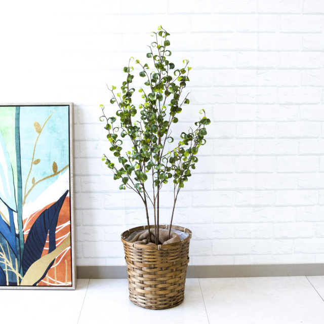 光触媒　人工観葉植物　フェイクグリーン　東北ベンジャミンバロック180 人工 観葉植物 フェイク グリーン ベンジャミンバロックポット H約