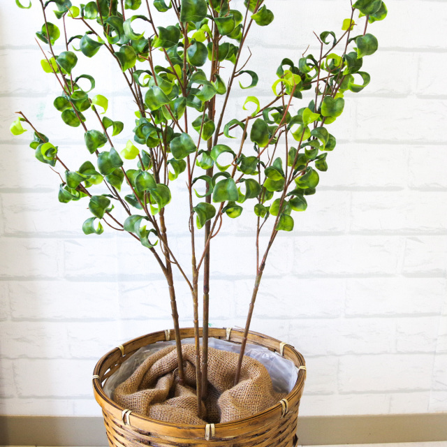 人工 観葉植物 フェイク グリーン ベンジャミンバロックポット H約