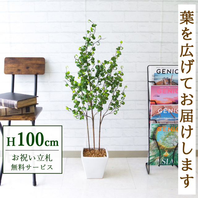 【すぐ飾れる】 フェイクグリーン フィカス ベンジャミン 100cm 鉢付き / 法人・開店祝い 店舗・オフィス装飾 空間演出 立札無料・造花/PG169