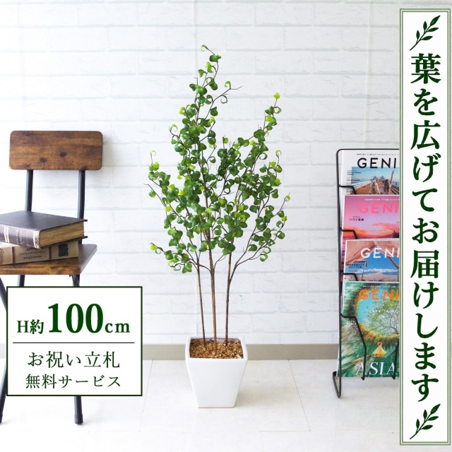【すぐ飾れる】 フェイクグリーン フィカス ベンジャミン H約100cm 鉢付き / 法人・開店祝い 店舗・オフィス装飾 空間演出 立札無料・造花/PG169