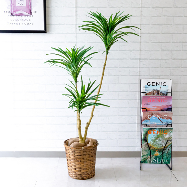 人工 観葉植物 フェイク グリーン ドラセナスリム H約120cm 店舗 装飾