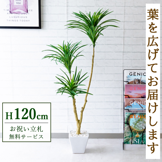 フェイクグリーン ドラセナスリム H約120cm 鉢付き / 観葉植物 フェイク 人工観葉植物 造花 店舗 装飾 開店 開業 移転 祝い ギフト プレゼント おしゃれ 住宅展示場 モデルハウス オフィス 立札無料 PG173