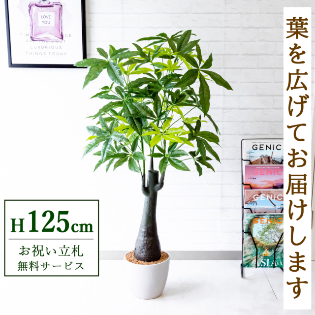 フェイクグリーン パキラトランク H約125cm 鉢付き / 観葉植物 フェイク 人工観葉植物 造花 店舗 装飾 開店 開業 移転 祝い ギフト プレゼント おしゃれ 住宅展示場 モデルハウス オフィス 立札無料 PG181