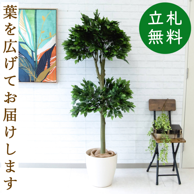 フェイクグリーン フィカス ベンジャミン H約155cm 鉢付き / 観葉植物 フェイク 人工観葉植物 造花 店舗 装飾 開店 開業 移転 祝い ギフト プレゼント おしゃれ 住宅展示場 モデルハウス オフィス 立札無料 PG184-A300WH