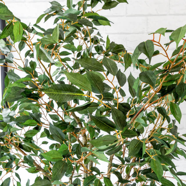 人工 観葉植物 フェイク グリーン フィカスベンジャミン H約165cm 店舗