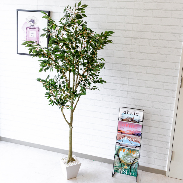 人工 観葉植物 フェイク グリーン フィカスベンジャミン H約165cm 店舗