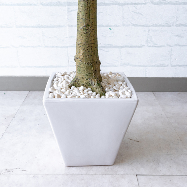 人工 観葉植物 フェイク グリーン フィカスベンジャミン H約165cm 店舗