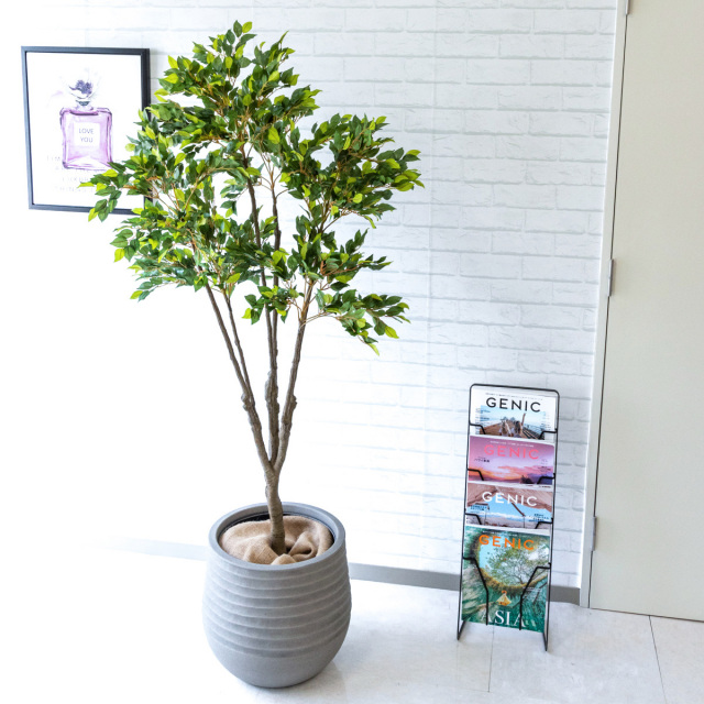 人工 観葉植物 フェイク グリーン 新緑ベンジャミン H約165cm