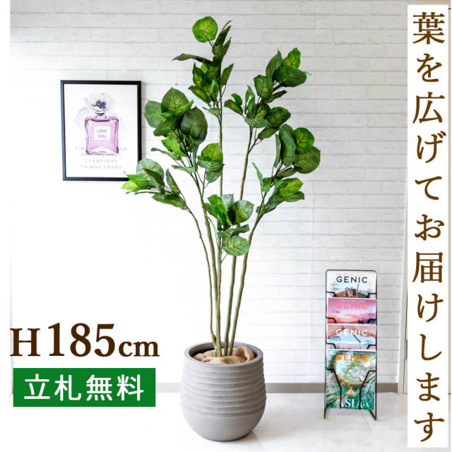 フェイクグリーン フィカス ベンジャミン H約185cm 鉢付き / 人工観葉植物 観葉植物 フェイク 造花 大型 大きい 店舗 装飾 開店 開業 移転 祝い ギフト プレゼント おしゃれ 住宅展示場 モデルハウス オフィス 立札無料 PG190-J40