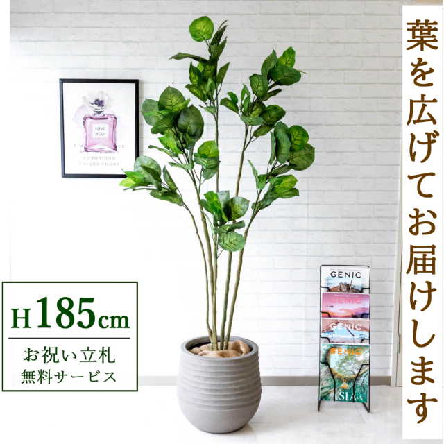 フェイクグリーン フィカス ベンジャミン H約185cm 鉢付き / 人工観葉植物 観葉植物 フェイク 造花 大型 大きい 店舗 装飾 開店 開業 移転 祝い ギフト プレゼント おしゃれ 住宅展示場 モデルハウス オフィス 立札無料 PG190-J40
