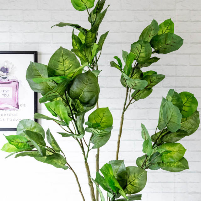 （552）【引き取り限定】【新品】造花 フェイクグリーン ベンジャミンフィカス フィカス・ベンジャミンバロック - フェイクグリーン専用通販