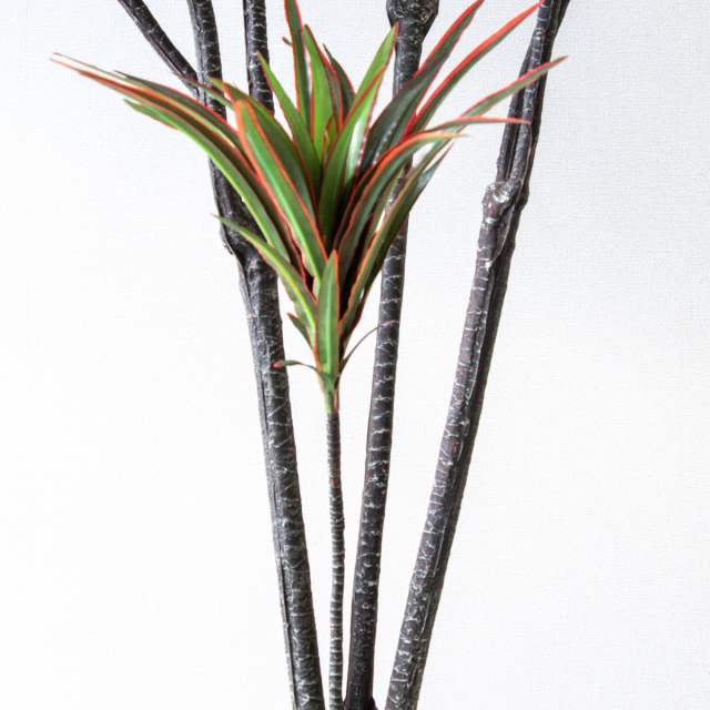 人工 観葉植物 フェイク グリーン ドラセナコンシナレッドグリーン H約