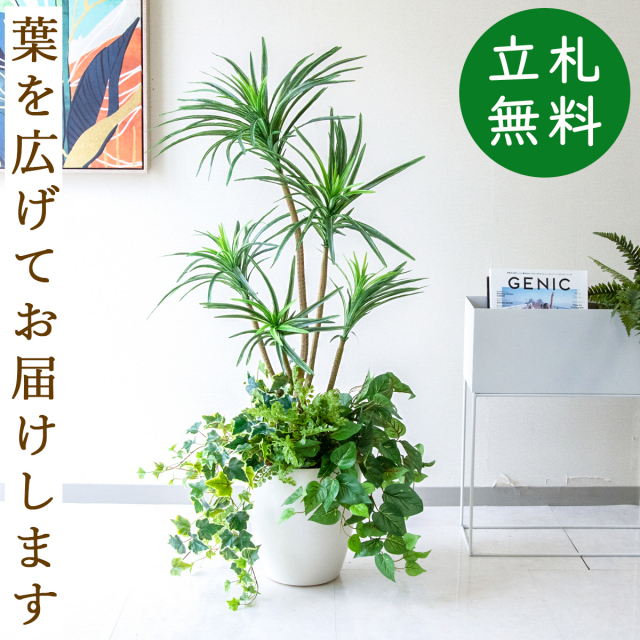 フェイクグリーン ユッカポット H約115cm 鉢付き / 人工観葉植物 観葉植物 フェイク 造花 店舗 装飾 開店 開業 移転 祝い ギフト プレゼント おしゃれ 住宅展示場 モデルハウス オフィス 立札無料 PG198-A265WH-UG1