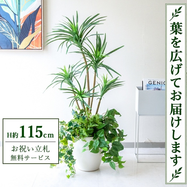 【すぐ飾れる】 フェイクグリーン ユッカ H約115cm 鉢付き / 法人・開店祝い 店舗・オフィス装飾 空間演出 立札無料・造花/PG198-A265WH-UG1