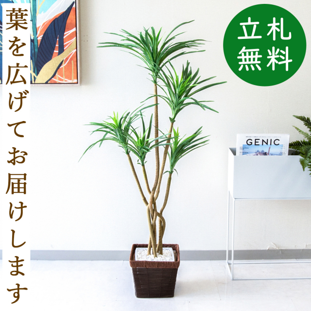 フェイクグリーン ユッカポット H約115cm 鉢付き / 人工観葉植物 観葉植物 フェイク 造花 店舗 装飾 開店 開業 移転 祝い ギフト プレゼント おしゃれ 住宅展示場 モデルハウス オフィス 立札無料 PG198-KCS21BR