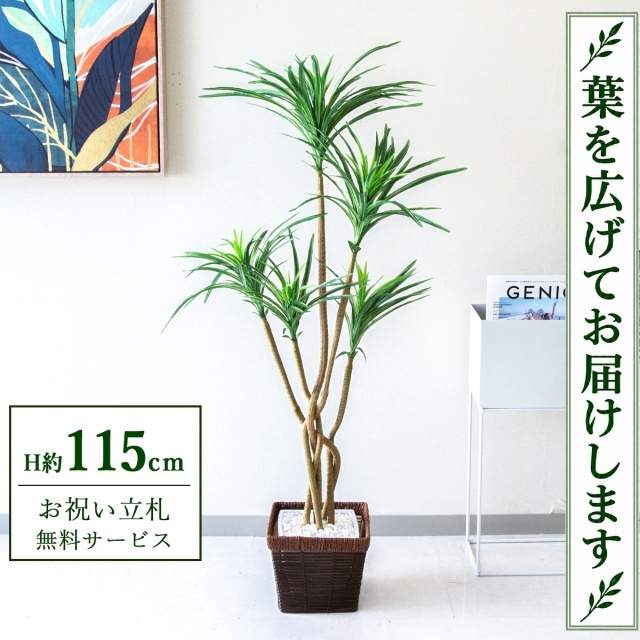 【すぐ飾れる】 フェイクグリーン ユッカ H約115cm 鉢付き / 法人・開店祝い 店舗・オフィス装飾 空間演出 立札無料・造花/PG198-KCS21BR