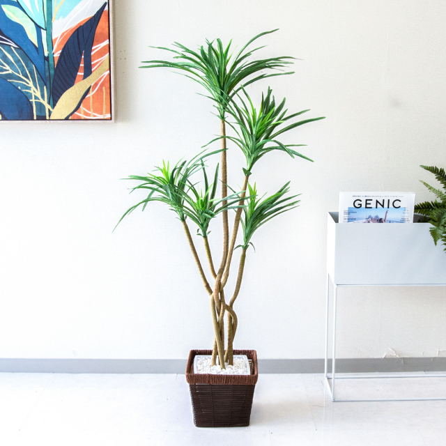 人工 観葉植物 フェイク グリーン ユッカポット H約120cm 店舗 装飾