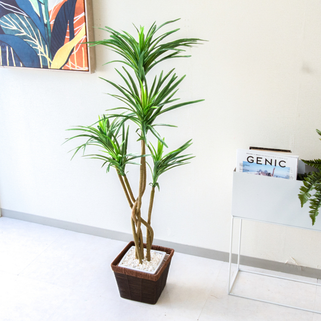 人工観葉植物 / 展示品 / フェイク 人工観葉植物 オーガスタ115陶器鉢付・黒 COFFRET GREEN 造花 / 観葉植物 / フェイクグリーン フラワー・ガーデニング