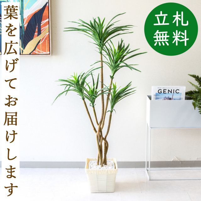 フェイクグリーン ユッカポット H約115cm 鉢付き / 人工観葉植物 観葉植物 フェイク 造花 店舗 装飾 開店 開業 移転 祝い ギフト プレゼント おしゃれ 住宅展示場 モデルハウス オフィス 立札無料 PG198-KCS21WH