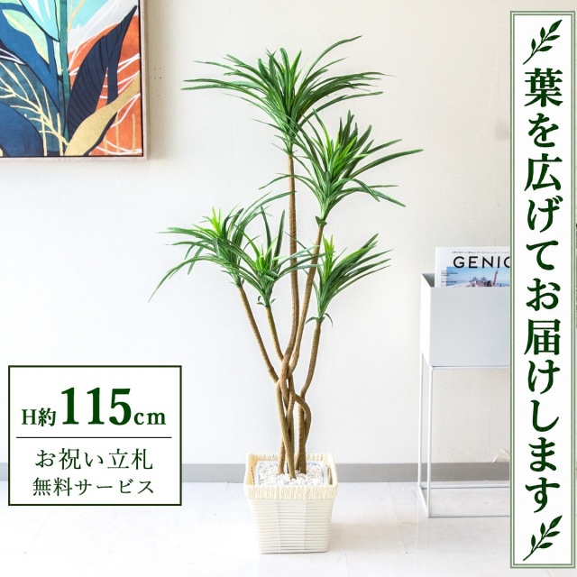 【すぐ飾れる】 フェイクグリーン ユッカ H約115cm 鉢付き / 法人・開店祝い 店舗・オフィス装飾 空間演出 立札無料・造花/PG198-KCS21WH