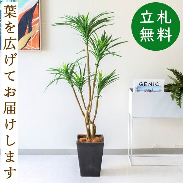 フェイクグリーン ユッカポット H約125cm 鉢付き / 人工観葉植物 観葉植物 フェイク 造花 店舗 装飾 開店 開業 移転 祝い ギフト プレゼント おしゃれ 住宅展示場 モデルハウス オフィス 立札無料 PG198-Q20BK