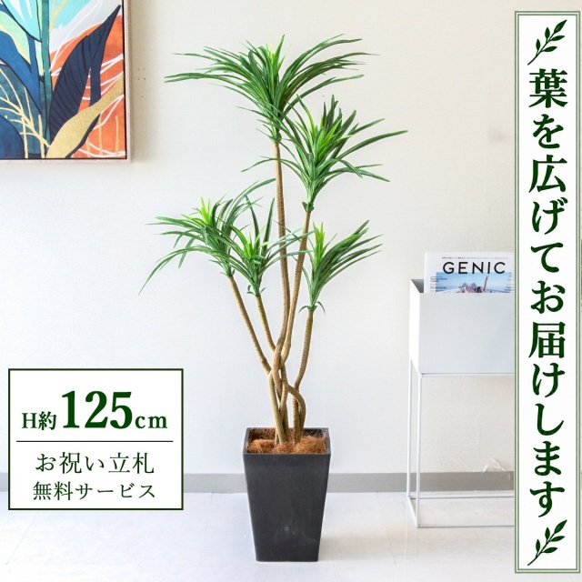 【すぐ飾れる】 フェイクグリーン ユッカ H約125cm 鉢付き / 法人・開店祝い 店舗・オフィス装飾 空間演出 立札無料・造花/PG198-Q20BK