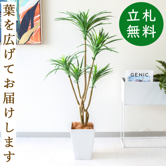 フェイクグリーン ユッカポット H約125cm 鉢付き / 人工観葉植物 観葉植物 フェイク 造花 店舗 装飾 開店 開業 移転 祝い ギフト プレゼント おしゃれ 住宅展示場 モデルハウス オフィス 立札無料 PG198-Q20WH