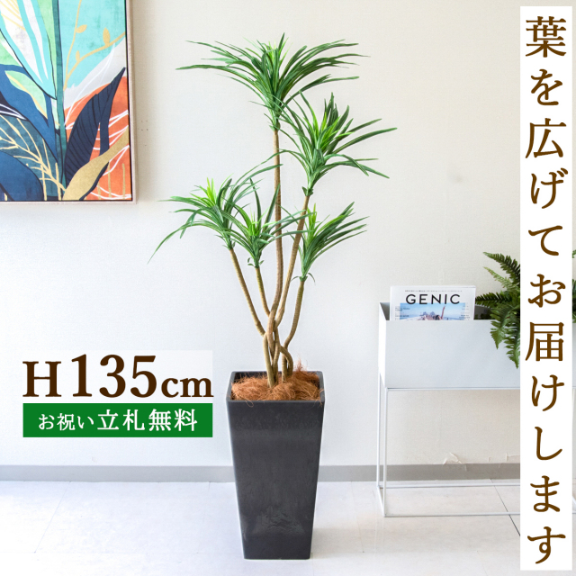 フェイクグリーン ユッカポット H約135cm 鉢付き / 人工観葉植物 観葉植物 フェイク 造花 店舗 装飾 開店 開業 移転 祝い ギフト プレゼント おしゃれ 住宅展示場 モデルハウス オフィス 立札無料 PG198-Q25BK
